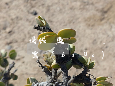提供偽造、變造的出入境證件罪立案標(biāo)準(zhǔn)_2021提供偽造、變造的出入境證件罪量刑標(biāo)準(zhǔn)和認(rèn)定構(gòu)成要件